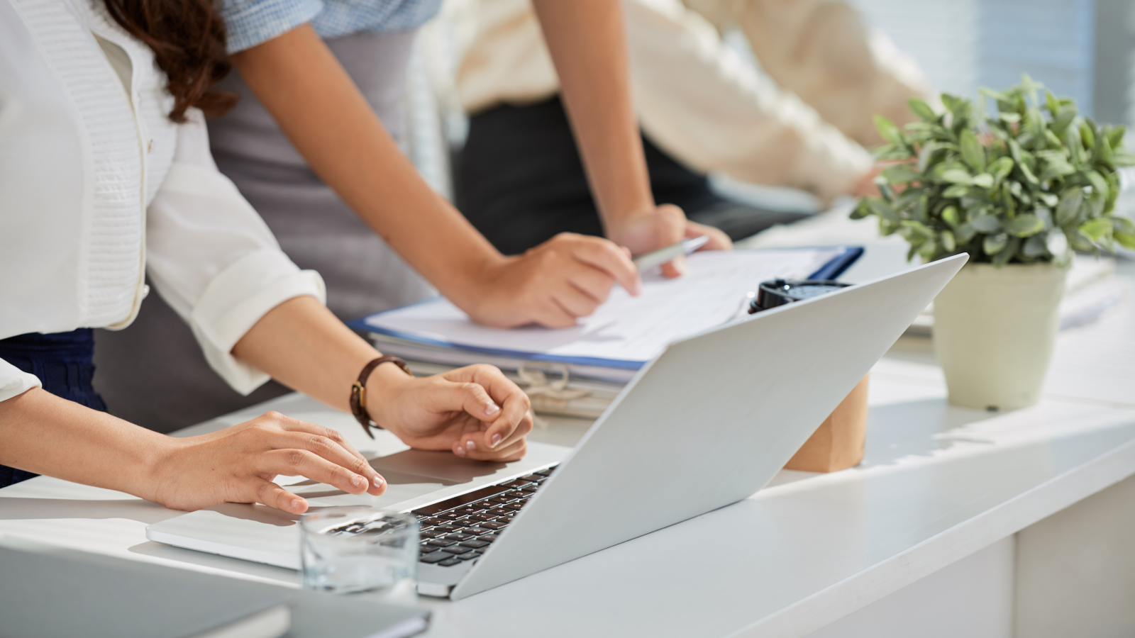 Activitats de Gestió Administrativa