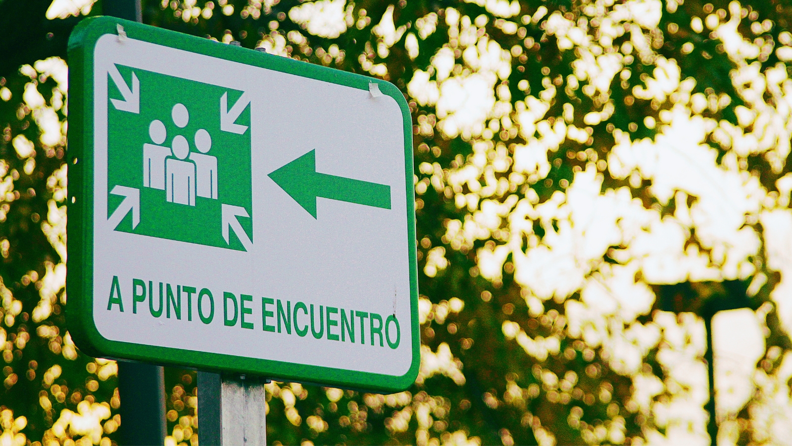 Elaboració de plans d'autoprotecció. Nivell bàsic