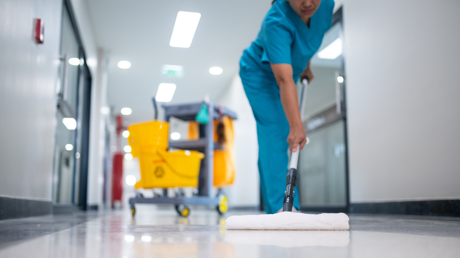 Neteja sales blanques hospital